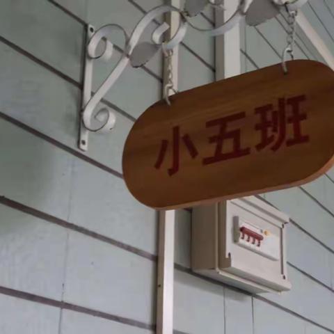 亲子包饺子，幸福暖心头-信宜市教育城幼儿园小五班