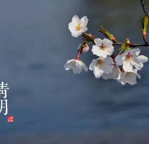 金沙幼儿园——清明节主题教育活动