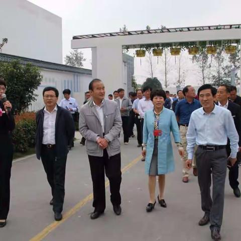 亳州市第三季度“全面改薄” 现场推进会会议代表到西阳参观指导工作