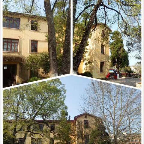 文明花遍金山，仁义果满道南——记宁化二中高一(7)班双礼(理)教育宣传活动