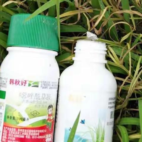 一位种植者的自述：秋跃帮我解烦恼