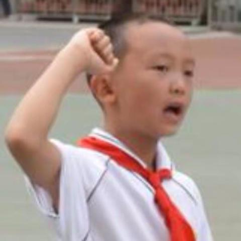 清清入选首师大实验小学校园作品收藏的作品