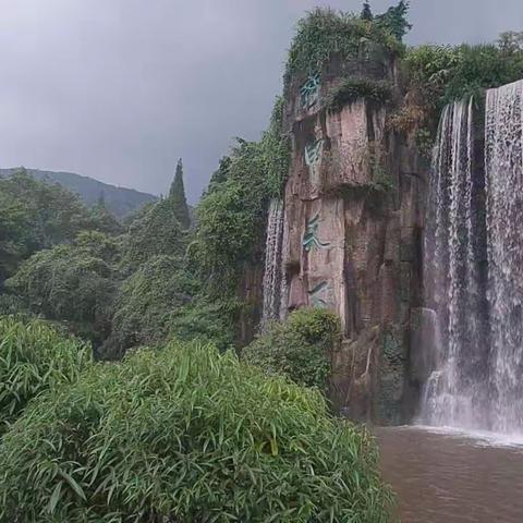 暑假四川青城、峨嵋、乐山游