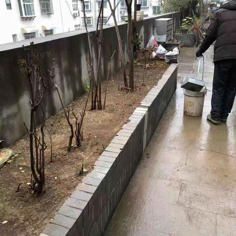 【深化创建】历下区大明湖街道县东巷社区创城工作纪实（12月3日)