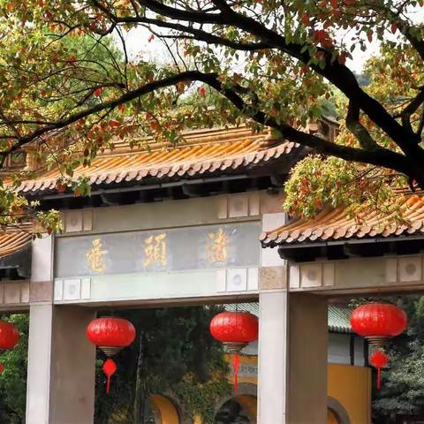 2018清明鼋头渚踏青之旅
