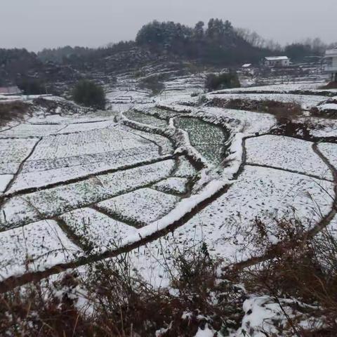 冰天雪地之田园风景