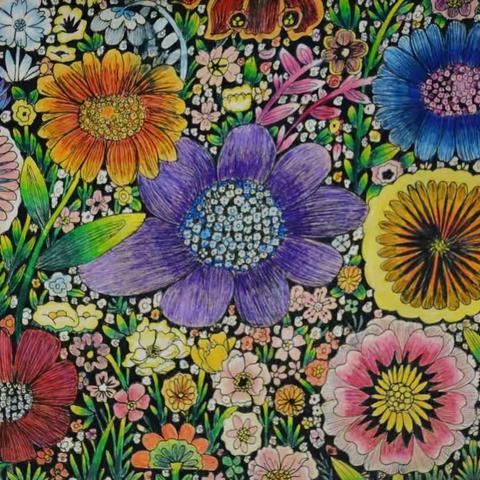玩美计画2017年上半年学员作品展（一）