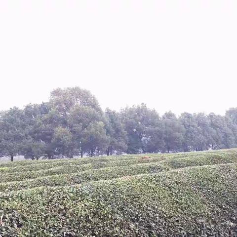 高潮一队开展“健康大讲堂”活动