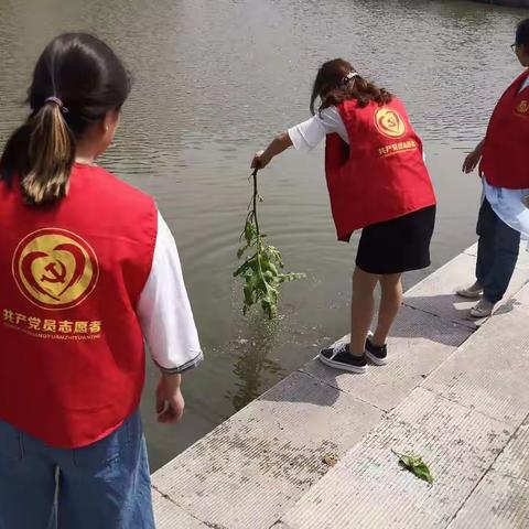 发挥党员先锋作用  助力学校重点工作