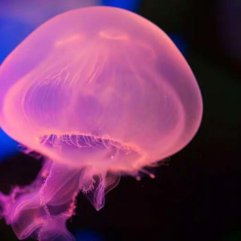 地球的宇宙环境--地球上存在生命的原因