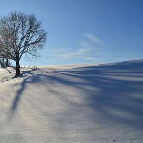 地球公转及其地理意义--四季和五带