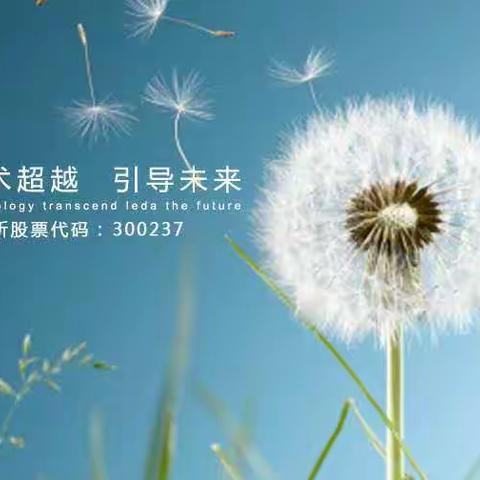 2017届高校毕业生入职指导手册