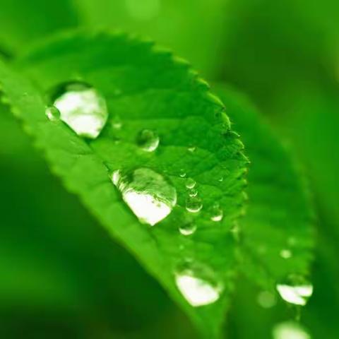 北京华丽、北京明日之星、廊坊正景我们是一家