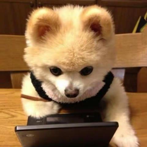 福城街道妇联协同反家暴项目组走访辖区4个社区妇工委