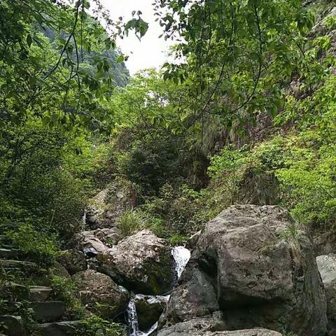 大家小家 同心共创                            浙江展图初夏红岩脚清凉之旅