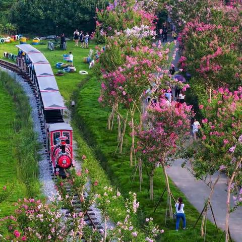 诗意田园，如梦千年，武汉紫薇都市田园欢迎您！