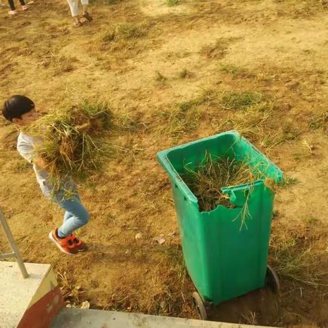 娄村学校“校园除草”活动