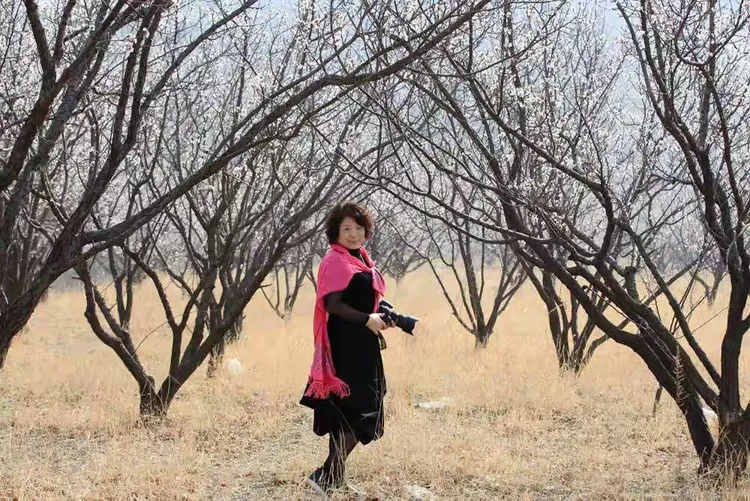 泉子杏花开，引得丽人来