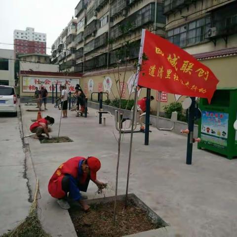 民主街道四城联创工作纪实之凤凰家园