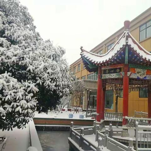 瑞雪，兆丰年