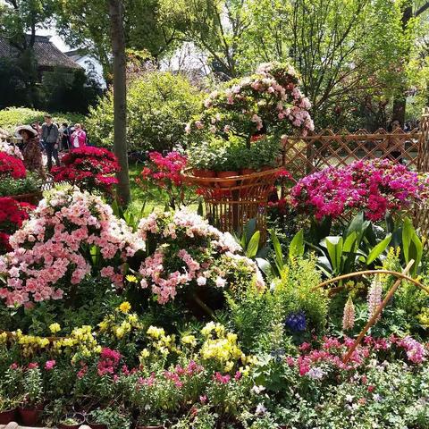 春 满 人 间    2017.04— 2018.03 影集