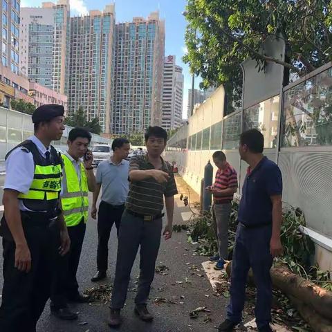 强力推进清障工作，罗湖局领导带队上路指挥