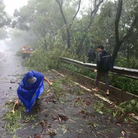 超级台风“山竹”袭击深圳，罗湖局清障工作在行动