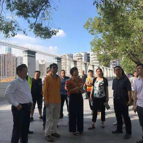 交通设施局陈淑同志带队调研罗湖品质提升项目