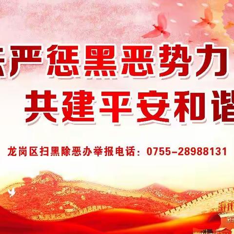 丹平社区全体总动员开展“扫黑除恶专项斗争”宣传活动
