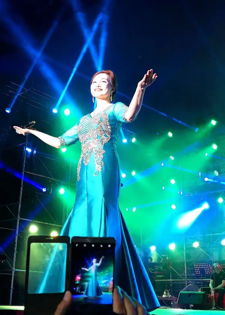 邓丽君模仿秀演唱会随拍