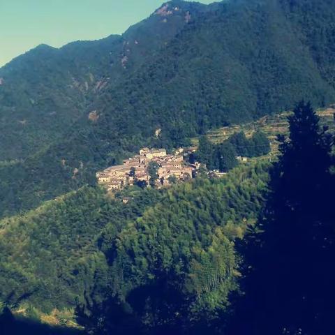 暑期实践写实‖残垣断壁与涅磐重生，走向萧条的古村落与日渐繁荣的松阳民宿