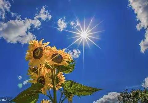 一日繁华未肯落，终生为学当如斯——记参加“萍聚京城”2018年度乡村优秀教师公益活动