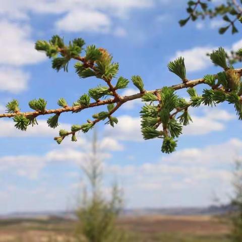 美好的一天到晚