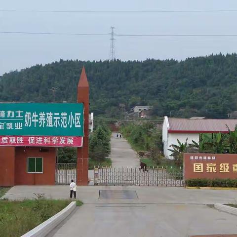 牧业事业部奶牛场庆祝铁骑力士25周年开展企业文化活动