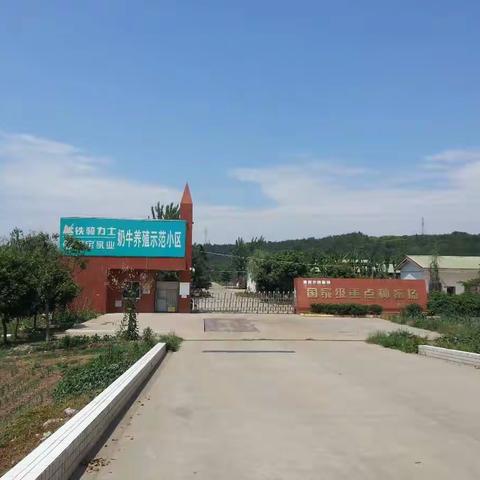 猪业事业部绵广区：【厂庆活动系列报道之二十四】种猪基地公司奶牛场技能比武大赛