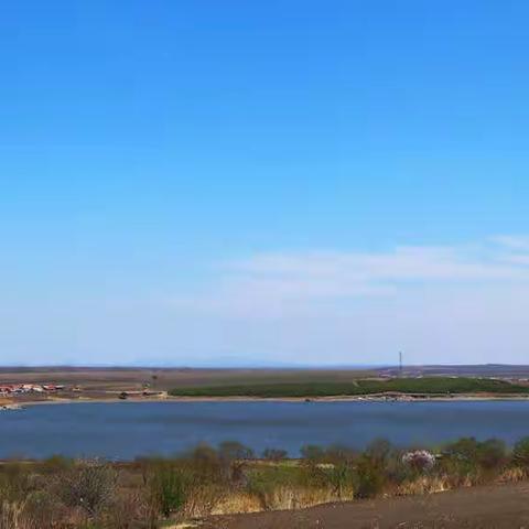 岭上开满映山红