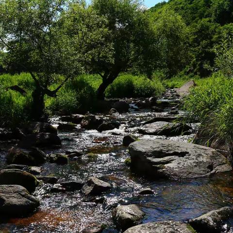 勇闯三道关  游览小黄山