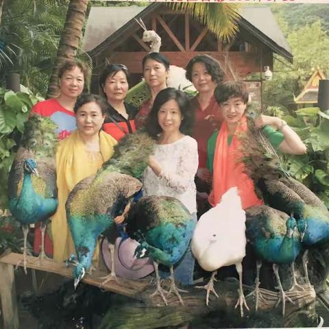 我们在奔六途中远行……（之一）