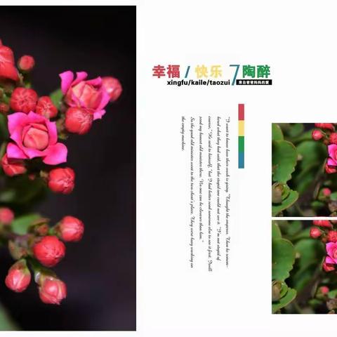 我的美篇