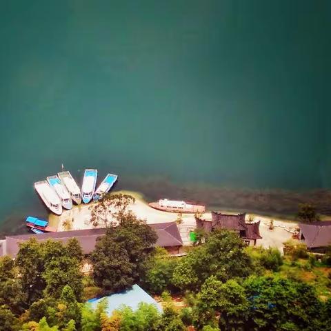 杨老大畅游仙岛湖