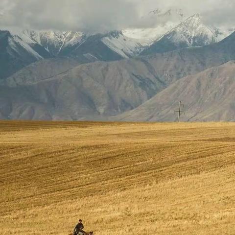 拨开迷雾 把握未来