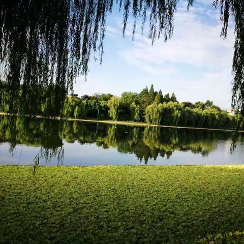 美丽的杭州学习之旅 —— 湖滨区磁钟乡骨干教师研修