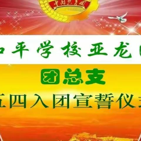 三亚和平学校亚龙湾校区团总支开展纪念"五四"运动99周年活动暨新团员入团仪式