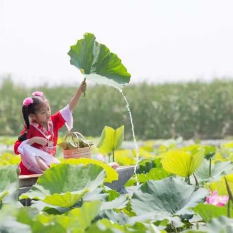 桥西教育局草场街小学教育集团：快乐一夏，幸福童年