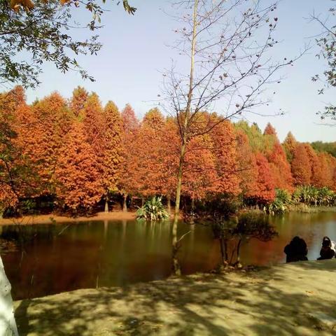 赏南京小九寨沟美景