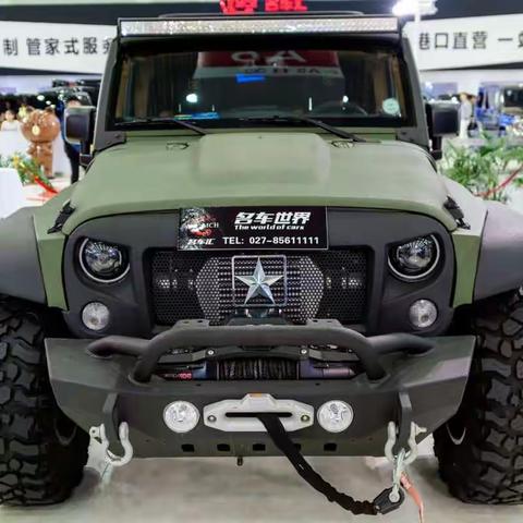 2017武汉国际车展