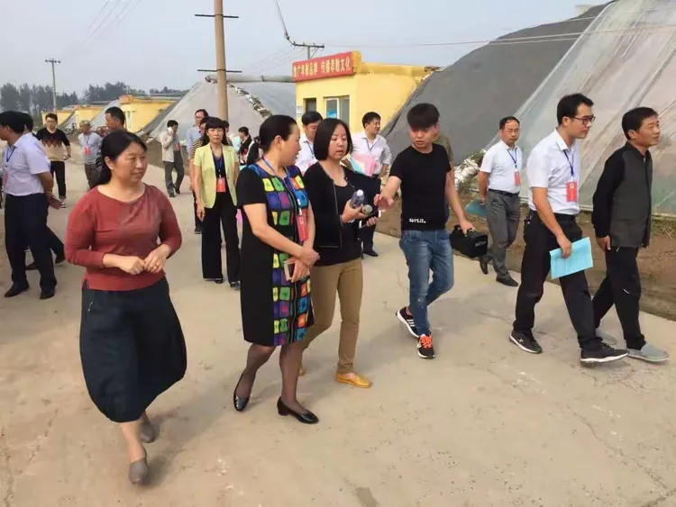 镇长李瑛介绍孝敬镇设施农业发展情况