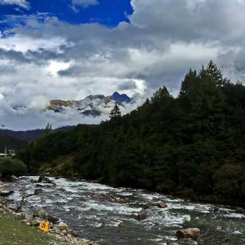 〖西行记〗 鲁朗，灵魂深处美到醉