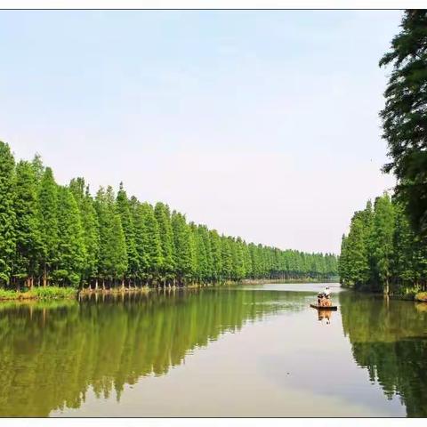 水上森林芬芳之旅