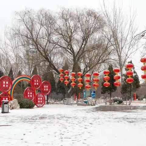 银装素裹靓蒲园